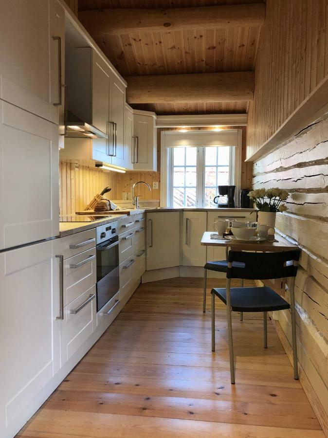 Svenskveien 23B Røros Exterior foto